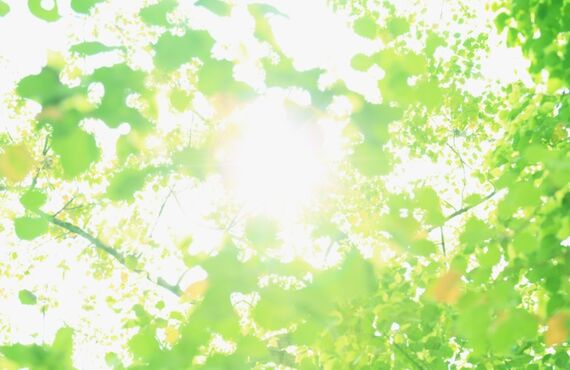 兵庫県でエアコン修理ならスギホームで。